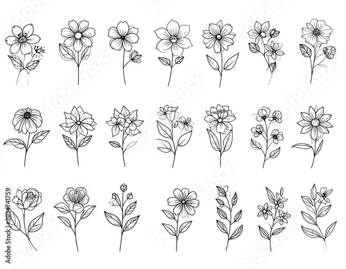 Black and white line art featuring various flower illustrations with stems and leaves, set against a plain background