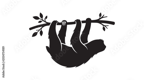 Foto Sloth Hanging From Branch Black Silhouette sloths