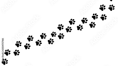 Paw prints walking trail on a white background, conveying movement and journey