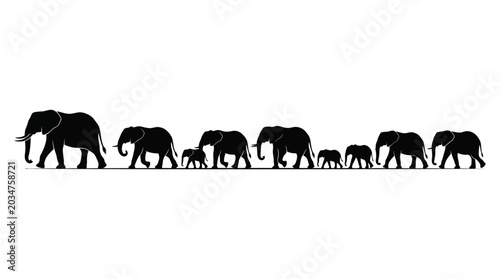 Photography Silhouette of a herd of elephants walking in a line.