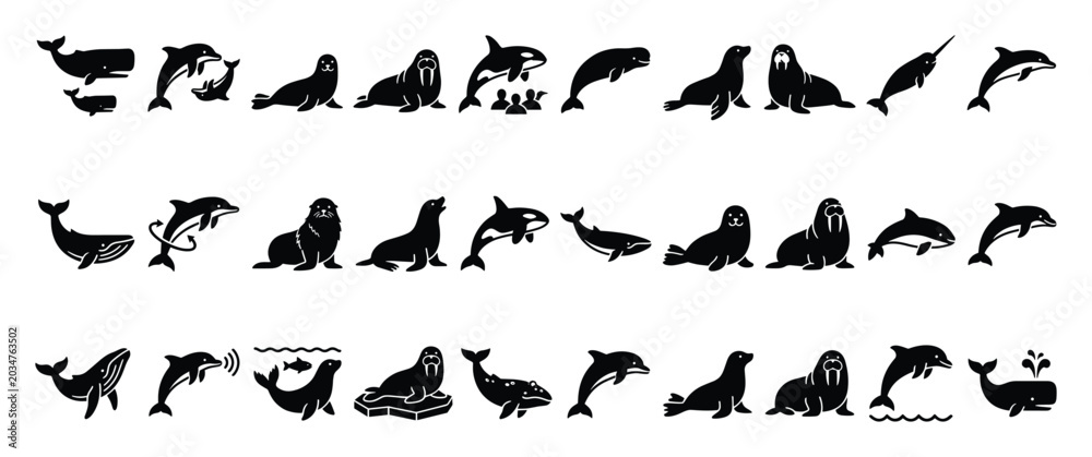 Fototapeta premium Set of marine mammal icons. Whale, dolphin, seal, walrus, narwhal, orca, beluga, cetacean, pinniped, sea animals, aquatic life, ocean creatures pictogram collection for web, app, ui, logo, graphic.