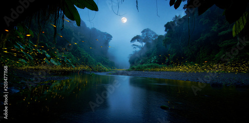 Canvas Print Fireflies glowing in a mystical tropical forest along a river at night