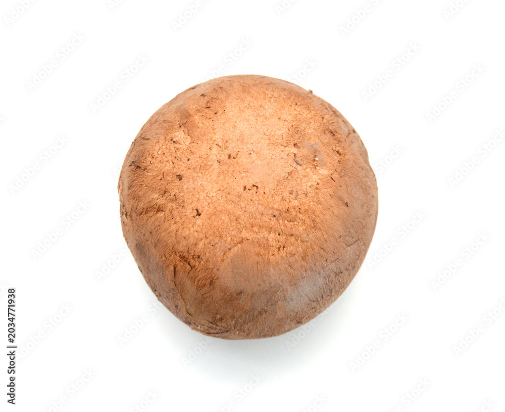 Fototapeta premium Brown mushrooms isolated on white background