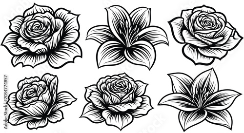 Adobe Illustrator Artwork
