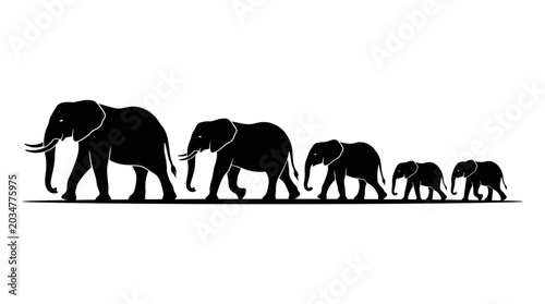 Photography Silhouette of a family of elephants walking in a line.