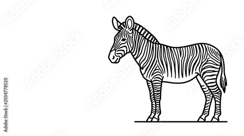 Photography A detailed line art illustration of a standing zebra.