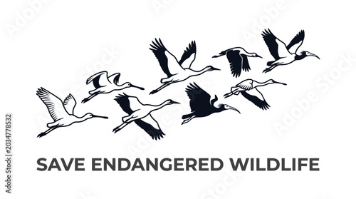 Fotografía A flock of birds in flight representing endangered wildlife conservation