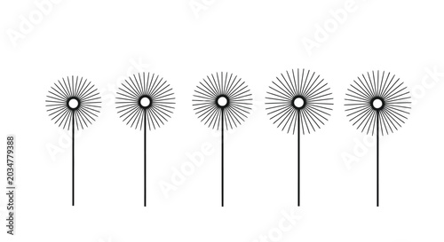 Photos Adobe Illustrator Artwork