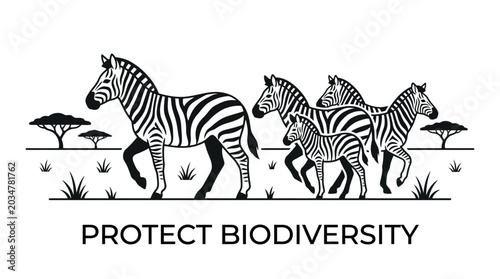 Illustration of a herd of zebras with baby zebra in the African savanna.