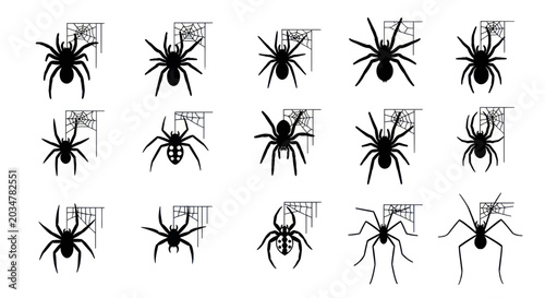 Fotografie Spider Web Silhouettes Collection: Halloween Icons, Spooky Insects, Arachnid Art