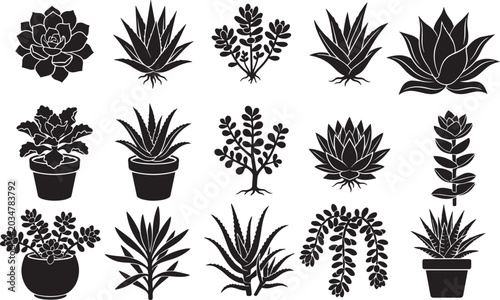Fotografie Black and white illustrations of various potted plants and succulents for design