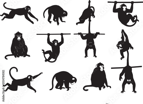 Photography Monkeys in various acrobatic poses and playful movements in black silhouette