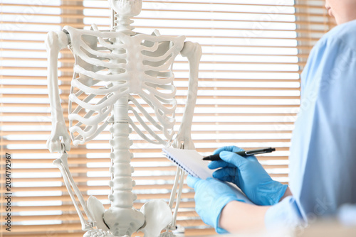 Female doctor with human skeleton model writing on notebook in clinic