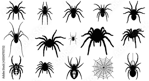 Obraz na plátne Set of Black Spider Silhouettes and Spiderweb, Halloween Icons