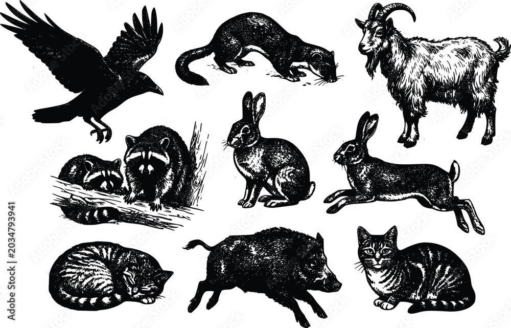 Fototapeta premium Animal Woodcut Illustrations Set Crow Goat Raccoon Boar Cat Rabbit