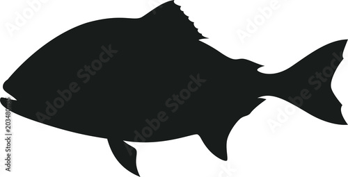silhouette fish