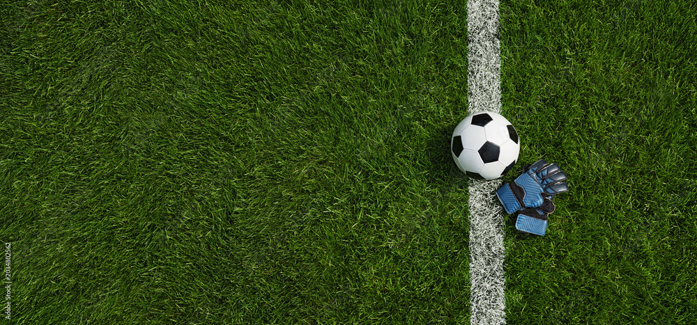 Fototapeta premium green grass texture with a soccer ball and goalkeeper gloves - well-groomed turf. Banner with copy space.