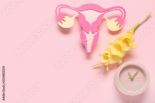 Paper uterus with clock and...