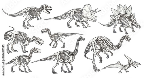 Foto Set of Dinosaur Skeletons: T-Rex, Triceratops, Stegosaurus, Pterodactyl, Raptor