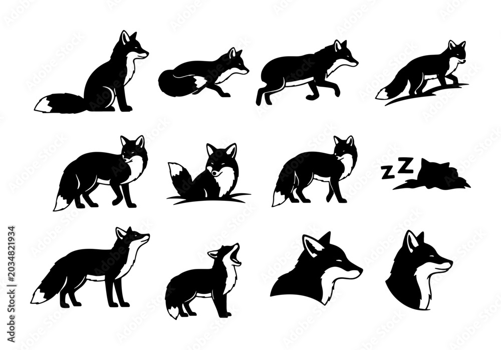 Obraz premium 12 Black Fox Silhouettes, Vector Icons Set: Wild Animal Poses, Woodland Creatures, Nature Graphics for Design