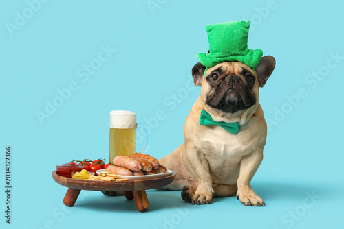 Cute French bulldog in gree...