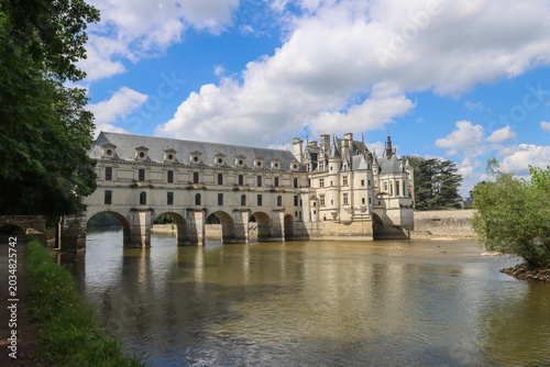 Obraz na plátně Historic château above flowing French river