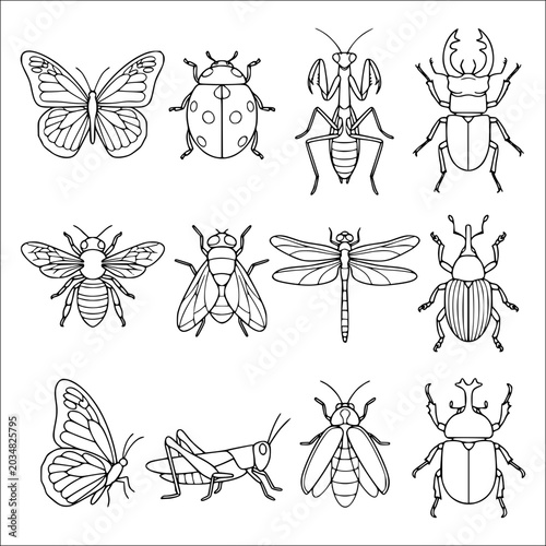 Insect Line Art Collection Twelve Black and White Vector Illustrations