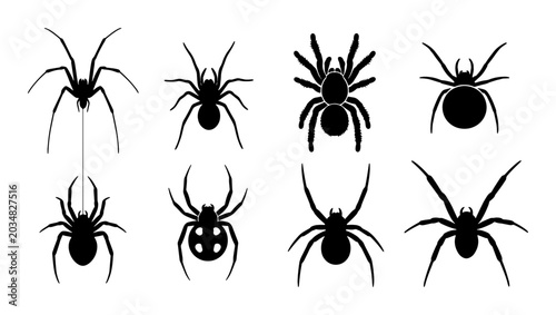 Bild auf Leinwand Set of 8 Black Spider Silhouettes, Arachnid Icons for Halloween and Horror Theme