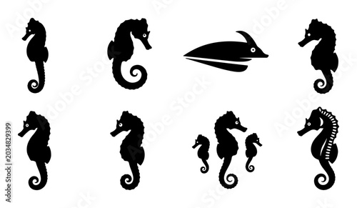 Tableau sur toile Seahorse Silhouettes Collection, Marine Life Vector Icons, Ocean Creatures Graph