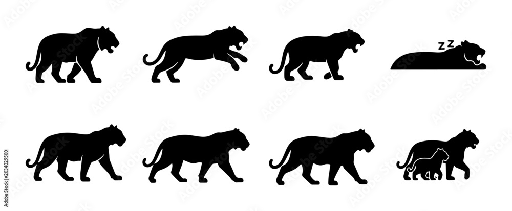 Fototapeta premium Tiger Silhouette Collection: Dynamic Poses, Walking, Running, Sleeping, Family Group, Vector Art for Wildlife and Nature Designs
