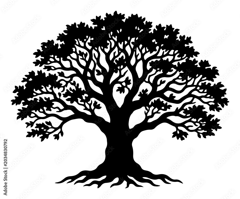 Fototapeta premium Large oak tree with deep roots and spreading branches silhouette illustration