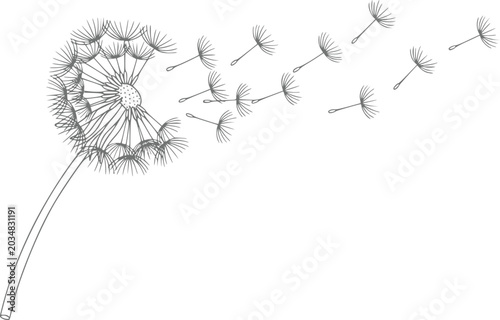 Canvas Print Dandelion seeds blowing in the wind, a symbol of wishes and dreams