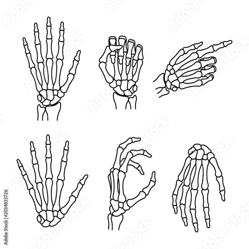 Quadro su tela Skeleton hand bones outline set gesture poses pointing gripping open palm anatomy finger wrist medical illustration vector pack