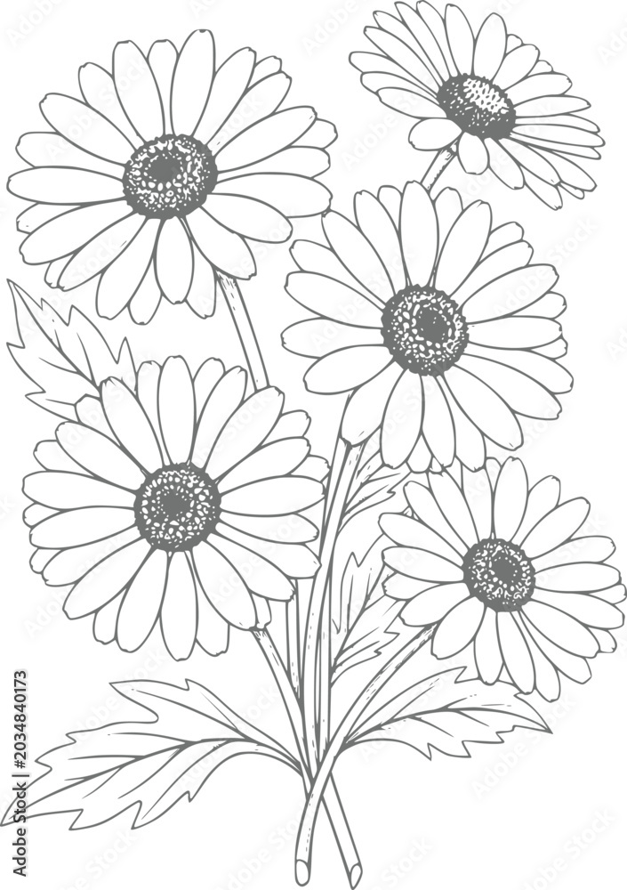 Obraz premium Delicate line bouquet of daisies with detailed petals and leaves
