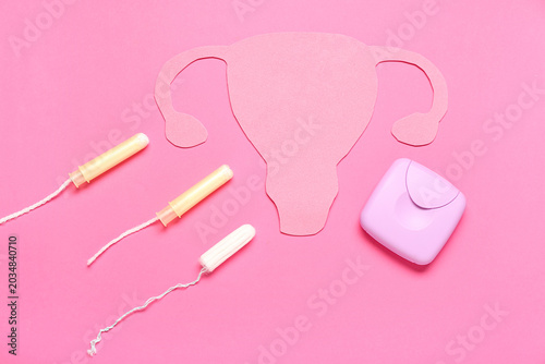 Paper uterus and tampons on...