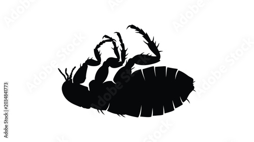 Schilderij op canvas Flea Silhouette On White Background Insect Shape Illustration