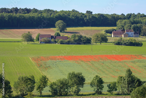 Schilderij op canvas Red poppies blooming near Crissay-sur-Manse