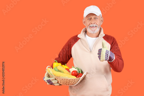 Mature male farmer with wic...