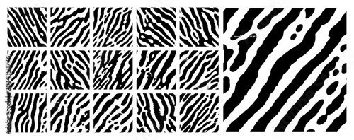 Photography Zebra stripe seamless patterns set with abstract animal print textures