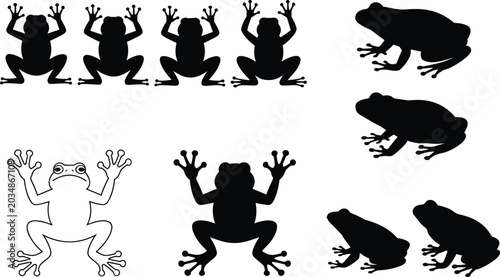 Billede på lærred Frog silhouette collection featuring amphibian wildlife poses, tropical tree fro