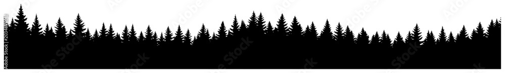 Obraz premium Pine forest tree silhouettes in a wide horizontal panoramic landscape orientation