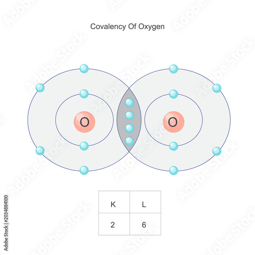 covalency of oxygen, double covaent bond.