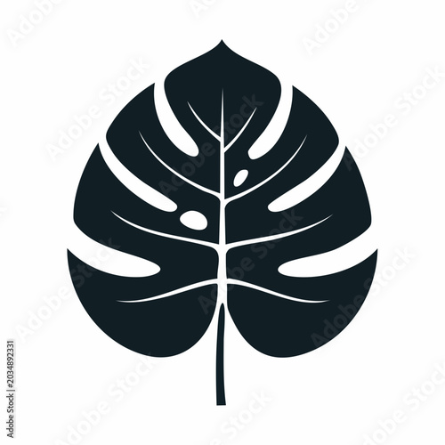 Monstera Leaf Silhouette