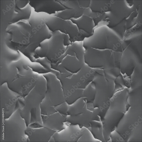 Bild auf Leinwand A scanning electron microscopy image of cracked surface showing damaged material texture