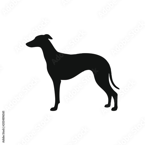 Domestic Dog Line Art, Modern, Illustration, Simple