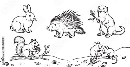 Funny cartoon animal coloring book set with cat dog rabbit bear and horse vector illustration