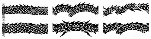 Fotografía Dragon scale pattern borders in reptilian snake skin texture style