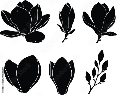 Black silhouette set of magnolia flowers and buds