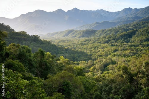 The Forested Valley Reveals Layers of Lush Green Hills and Misty Mountains