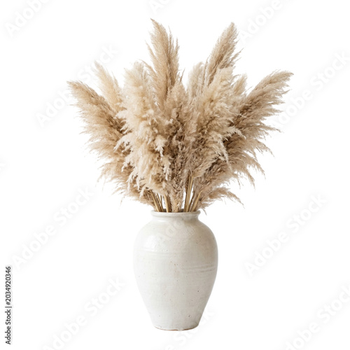 A beautiful white vase holds decorative pampas grass on a plain background Photo realistic image background removed. png